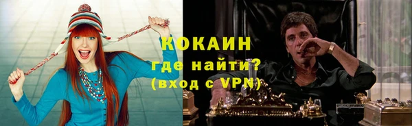 шишки Алексин
