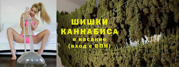 шишки Алексин