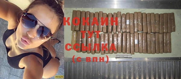 шишки Алексин