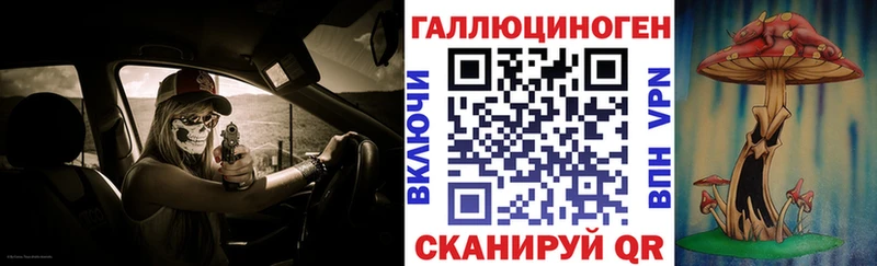 Галлюциногенные грибы Psilocybine cubensis  Краснообск 